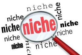 Прибыльная ниша для сайта быстрый поиск