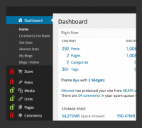 WP-Types Access 1.2.7.5 rus привилегии пользователей wordpress