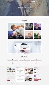 Shootback 1.1.1 адаптивный шаблон wordpress