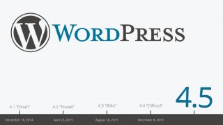 WordPress 4.5.1 rus скрипт CMS