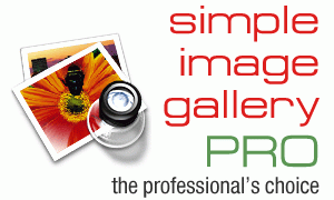 Simple Image Gallery PRO 3.1.0 rus плагин галереи joomla