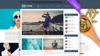 Extra 1.3.11 адаптивный шаблон wordpress