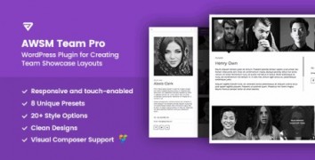 The Team Pro 1.0.1 плагин wordpress поиск команды