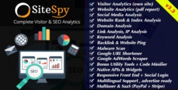 SiteSpy 3.3 rus скрипт анализа сайта