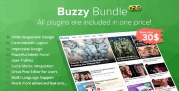 Buzzy Bundle rus скрипт новостного сайта