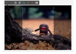Скрипт DarkroomJS Canvas HTML5