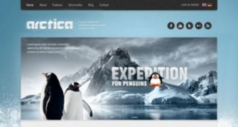 Arctica шаблон тема wordpress