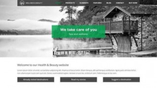 Spa шаблон спа тема wordpress