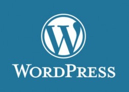 Курс WordPress для профессионалов