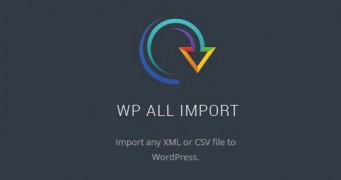 WP All Import Pro плагин импорта wordpress