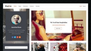 BlogBox адаптивный шаблон тема wordpress