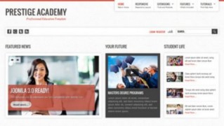 Prestige Academy адаптивный шаблон тема wordpress