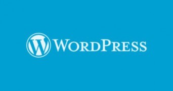 WordPress rus блоговый движок