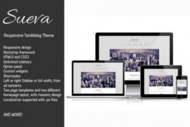 Sueva адаптивный шаблон wordpress