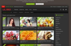 LilBro адаптивный шаблон DLE 11.2