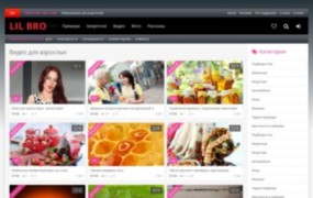 LilBro адаптивный шаблон DLE 11.2