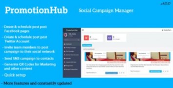 PromotionHub скрипт социальный менеджер организаций