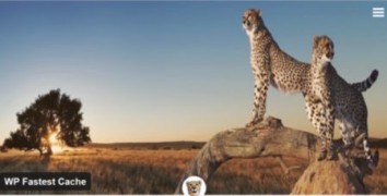 WP Fastest Cache Premium плагин кэша wordpress
