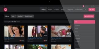 AdultScript Pro скрипт сайта для взрослых