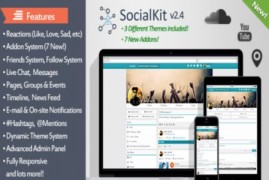SocialKit rus скрипт социальной сети all addons