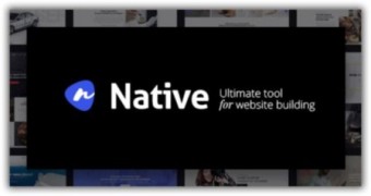 Native отзывчивый шаблон тема wordpress