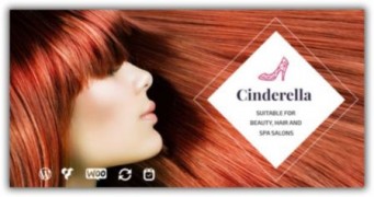 Cinderella отзывчивый шаблон тема wordpress