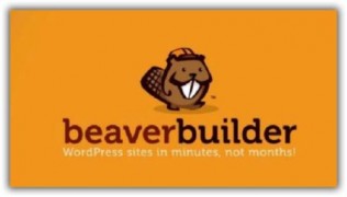 Beaver Builder rus визуальный редактор плагин wordpress