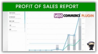 Profit of Sales Report плагин WooCommerce wordpress