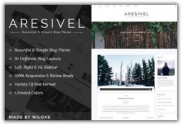 Aresivel адаптивный шаблон тема wordpress