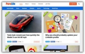 PureLife адаптивный шаблон тема wordpress