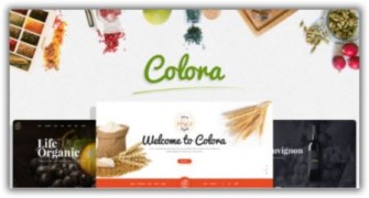 Colora адаптивный шаблон Opencart