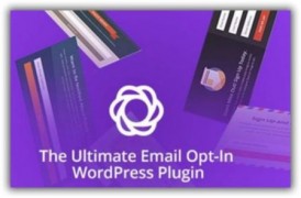 Bloom плагин подписчики wordpress