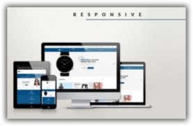 Pts Viva отзывчивый шаблон Prestashop