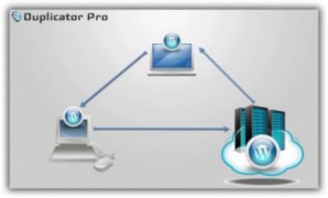 Duplicator Pro плагин миграции и бэкапа wordpress