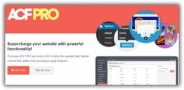 Advanced Custom Fields Pro плагин дополнительные поля wordpress