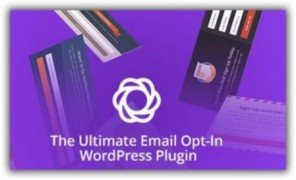 Bloom плагин подписчики wordpress