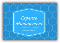 Expense Management system скрипт управления расходами