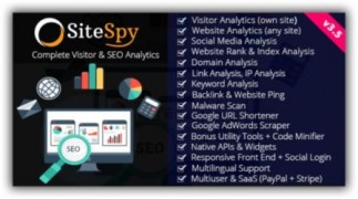 SiteSpy rus скрипт анализа сайта