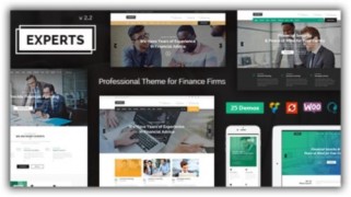 Experts Business адаптивный бизнес шаблон wordpress