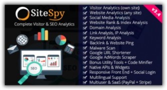 SiteSpy rus скрипт анализа сайта