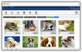 RSMediaGallery Pro rus компонент галереи joomla