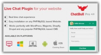 ChatBull Pro PHP скрипт чата поддержки