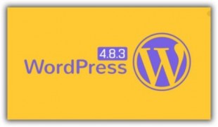 WordPress rus стабильный релиз CMS