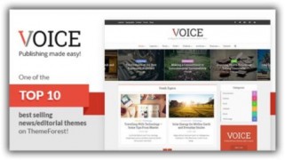 Voice адаптивный шаблон wordpress