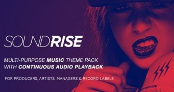 SoundRise художники, продюсеры и лейблы шаблон wordpress
