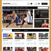 Video 8.8 видео wordpress