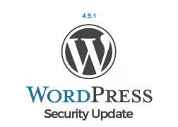 WordPress 4.9.1 rus