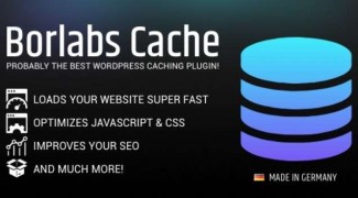 Borlabs Cache плагин кеширования wordpress