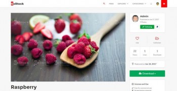 GoStock скрипт фотогалереи бесплатных изображений