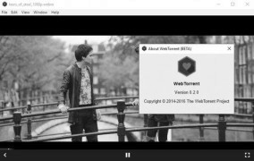 WebTorrent + Portable программа обработки торрент-файлов